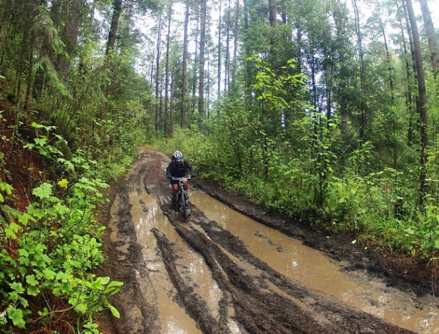 在大自然中拍摄 